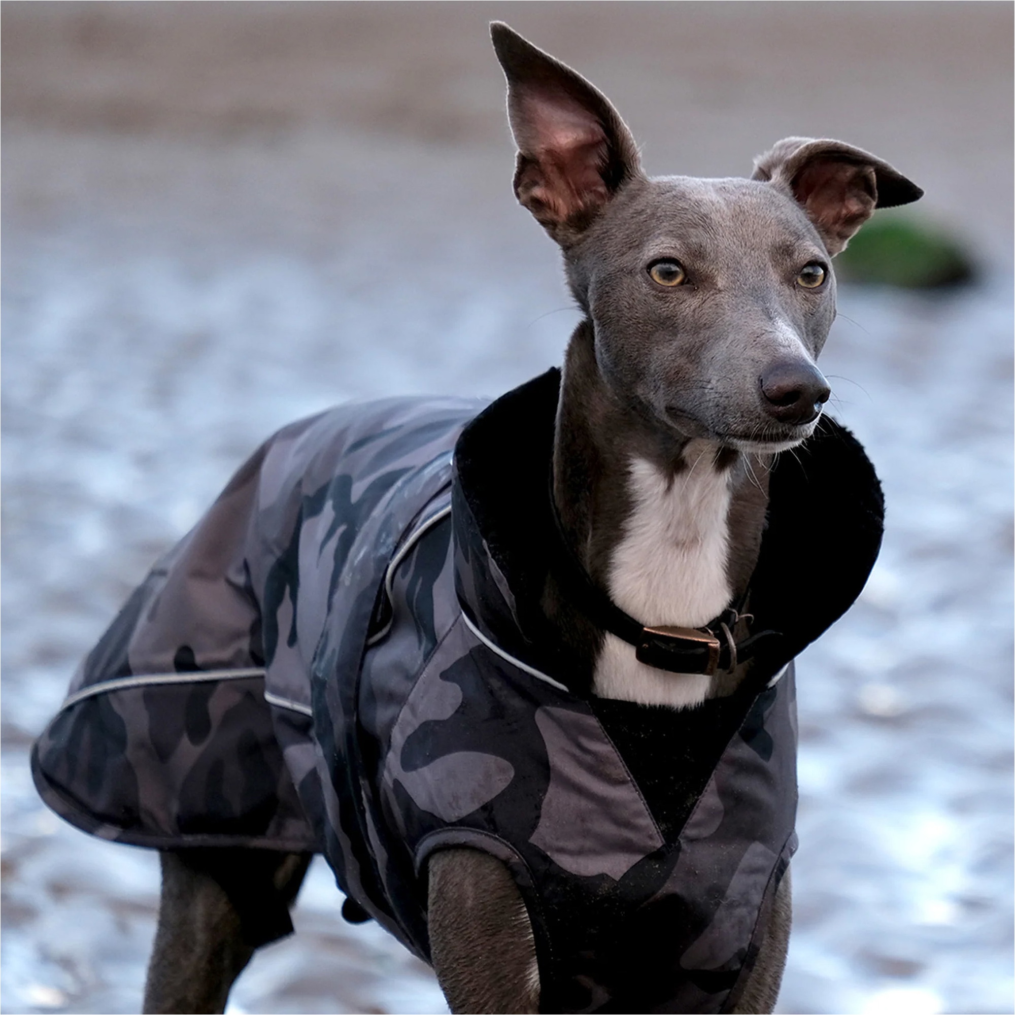 2026 Dryrobe Hundejakke V3DRDC - Black / Camo